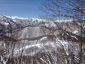 IMG_2242