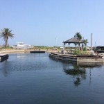 s-IMG_2806