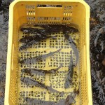 s-IMG_2986